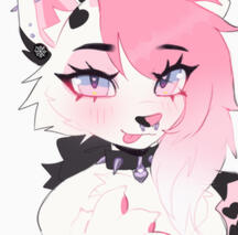 for @coraclaws